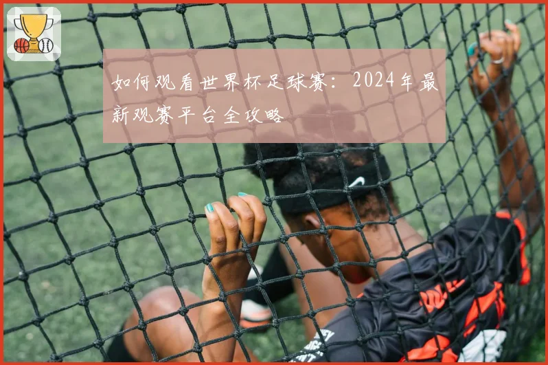 如何观看世界杯足球赛:2024年最新观赛平台全攻略