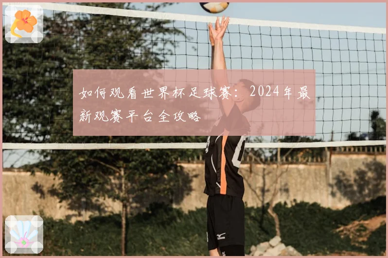如何观看世界杯足球赛：2024年最新观赛平台全攻略
