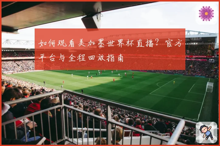 如何观看美加墨世界杯直播？官方平台与全程回放指南